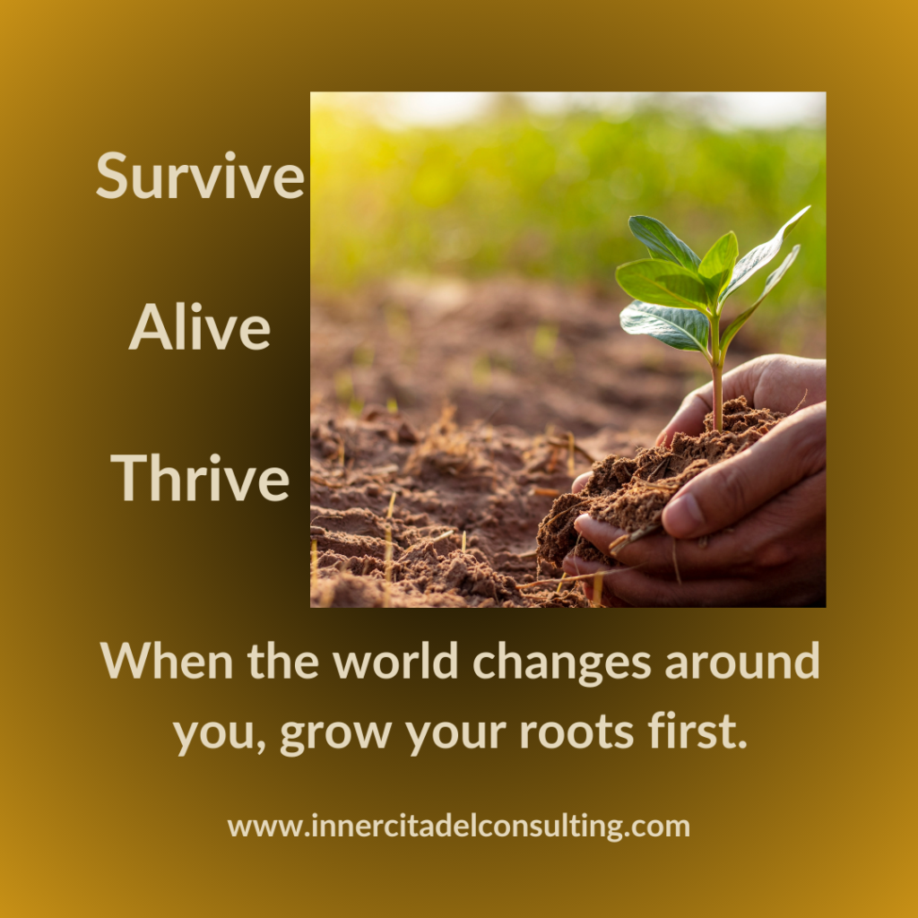 The Mindfulness of Survive - Alive - Thrive - ICC